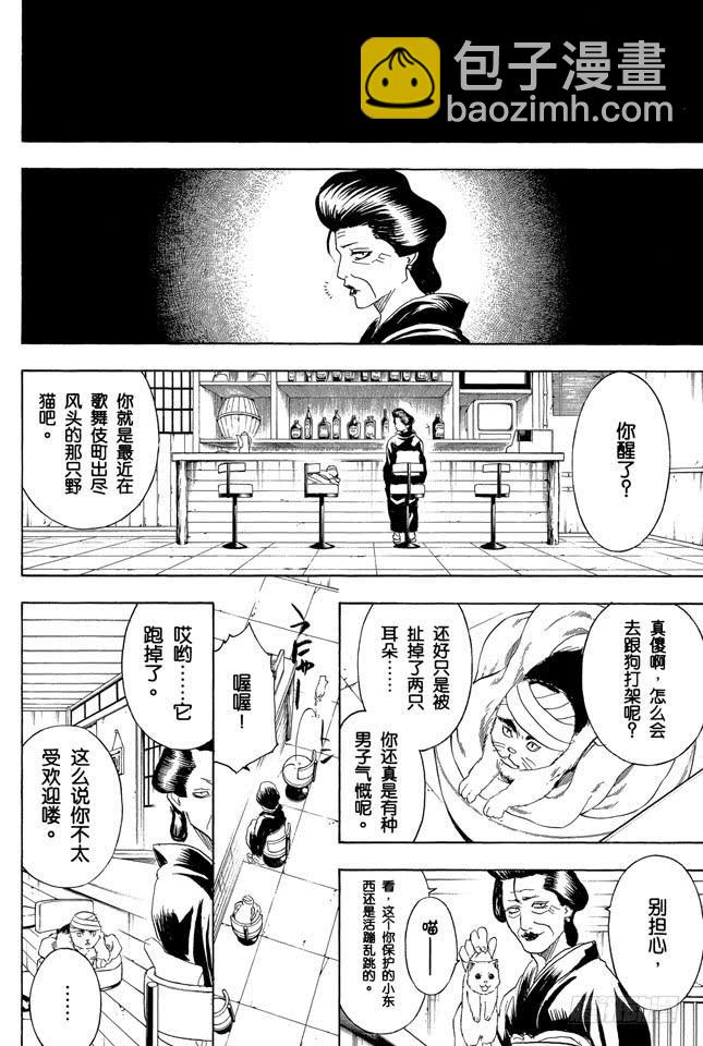 銀魂 - 第279話 野貓哀歌 - 1