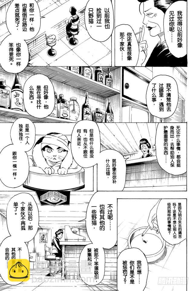 銀魂 - 第279話 野貓哀歌 - 2