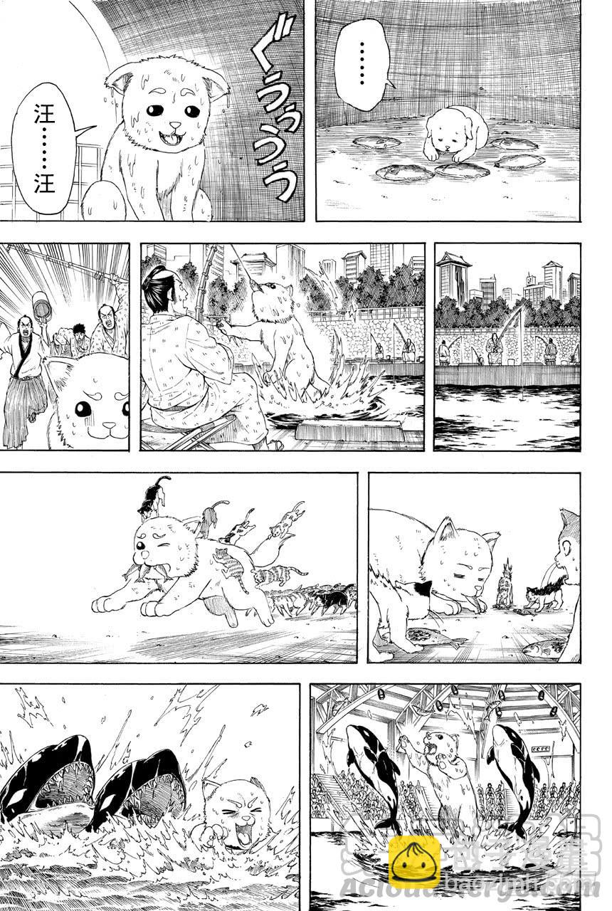 銀魂 - 第401話 狗食意外地很適合做下酒菜 - 3