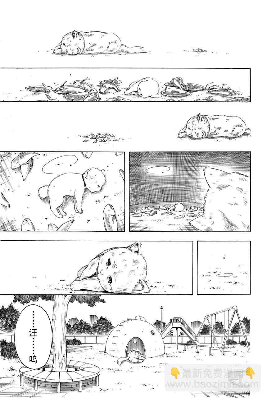 銀魂 - 第401話 狗食意外地很適合做下酒菜 - 1