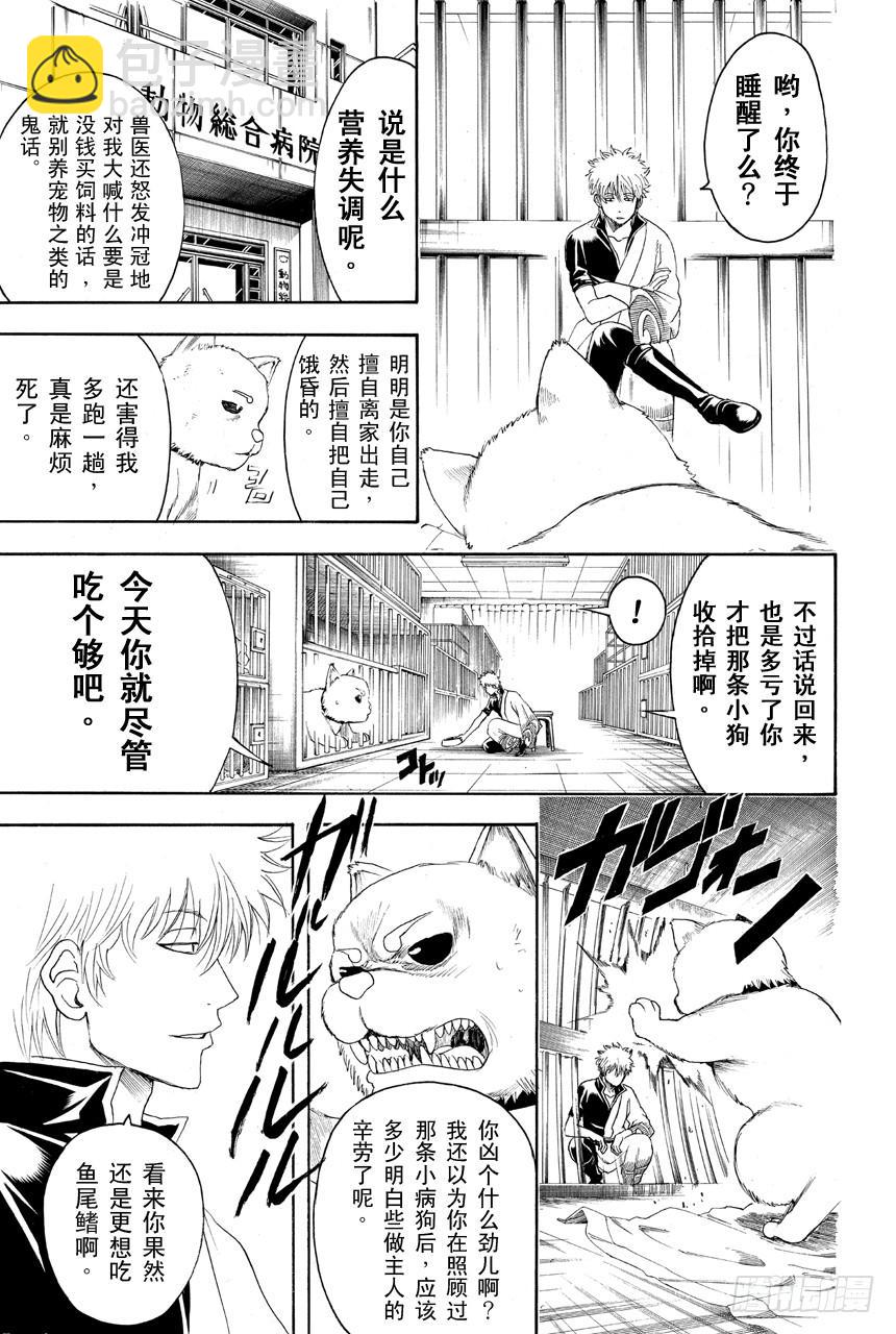 銀魂 - 第401話 狗食意外地很適合做下酒菜 - 3