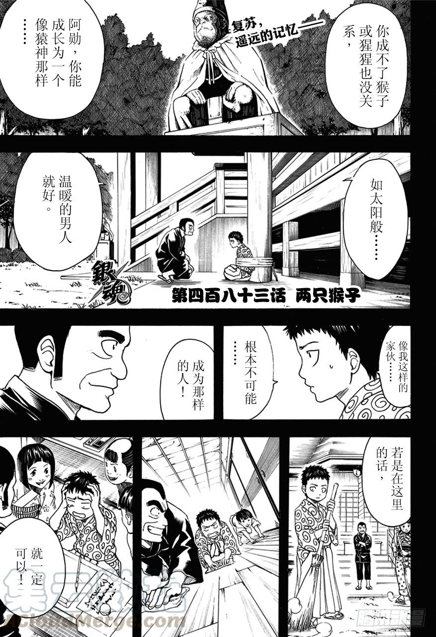 銀魂 - 第483話 兩隻猴子 - 1