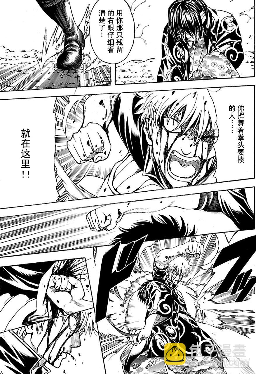 銀魂 - 第519話 仇 - 4