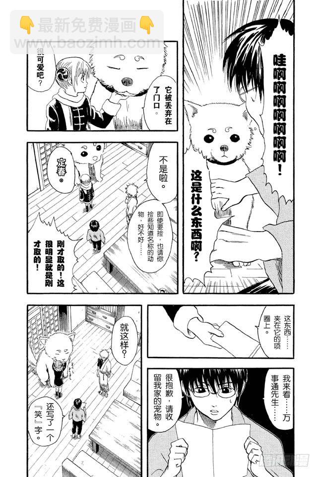 銀魂 - 第10話 感覺疲憊時，就多吃點酸的東西！ - 5