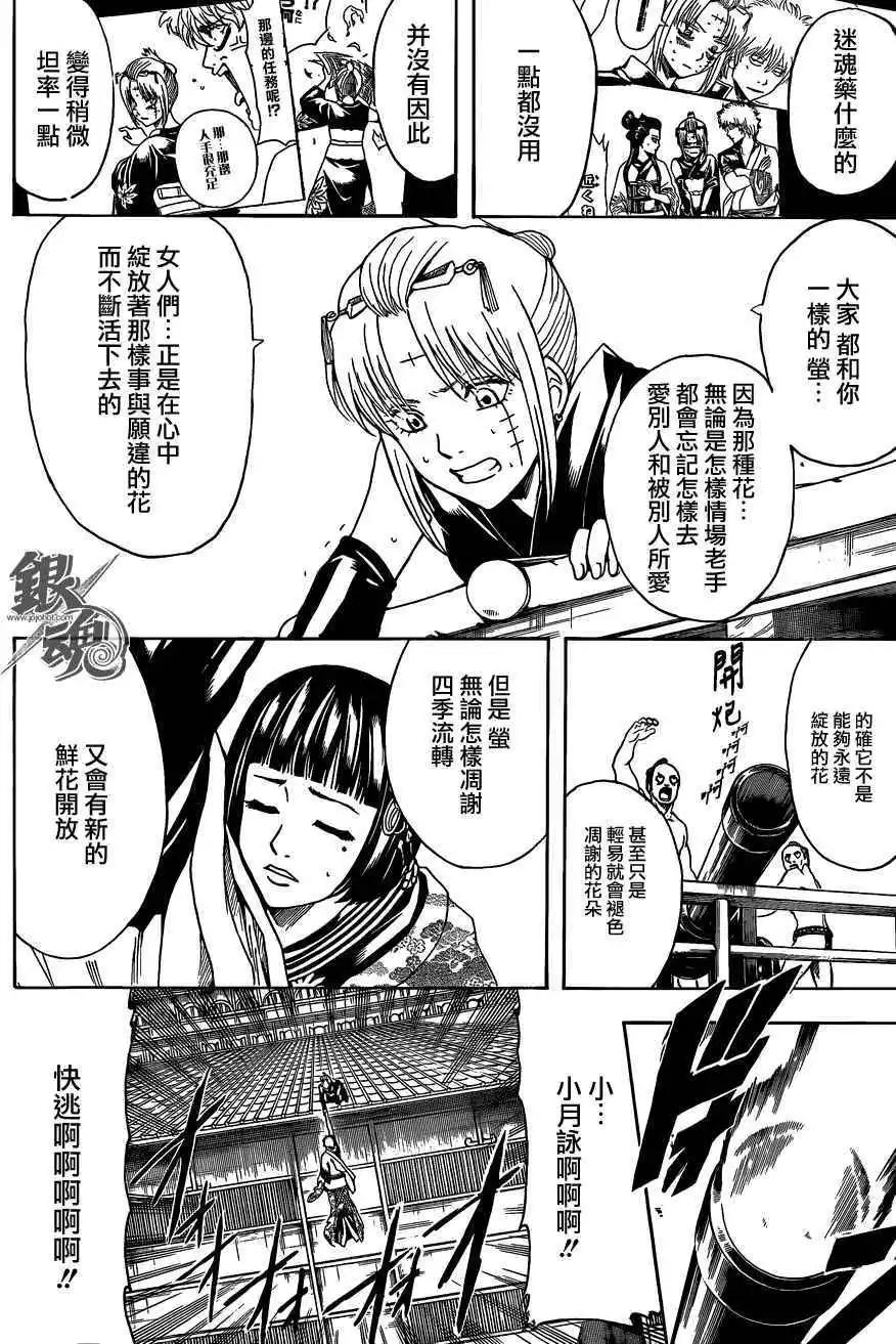 銀魂Gintama - 第495回 - 2