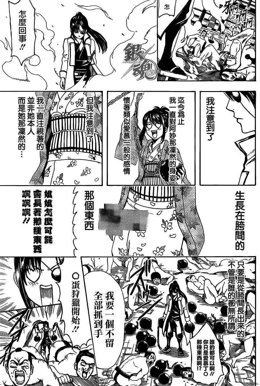銀魂Gintama - 第495回 - 3