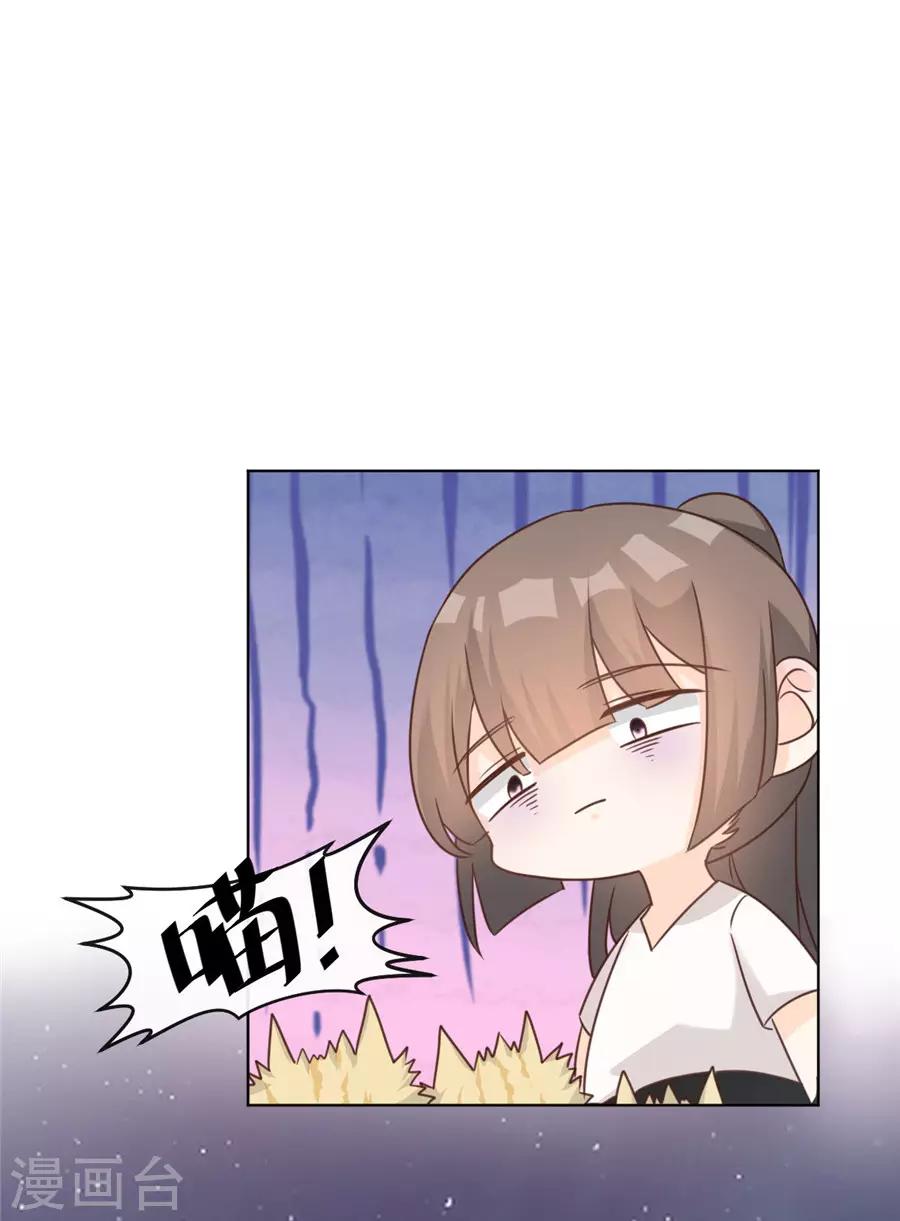 第41话 不然叫猪-第42话