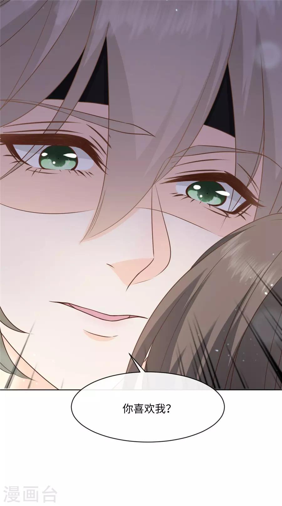 第41话 不然叫猪-第42话