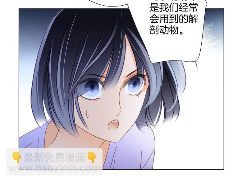 隱世華族 - 第17話 僞裝(2/2) - 5