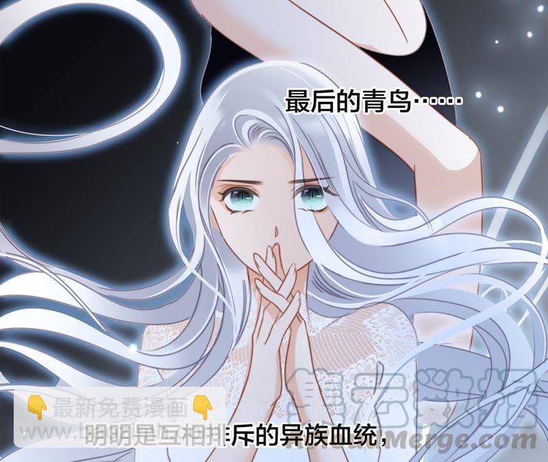 隱世華族 - 第50話 疑問(2/2) - 8