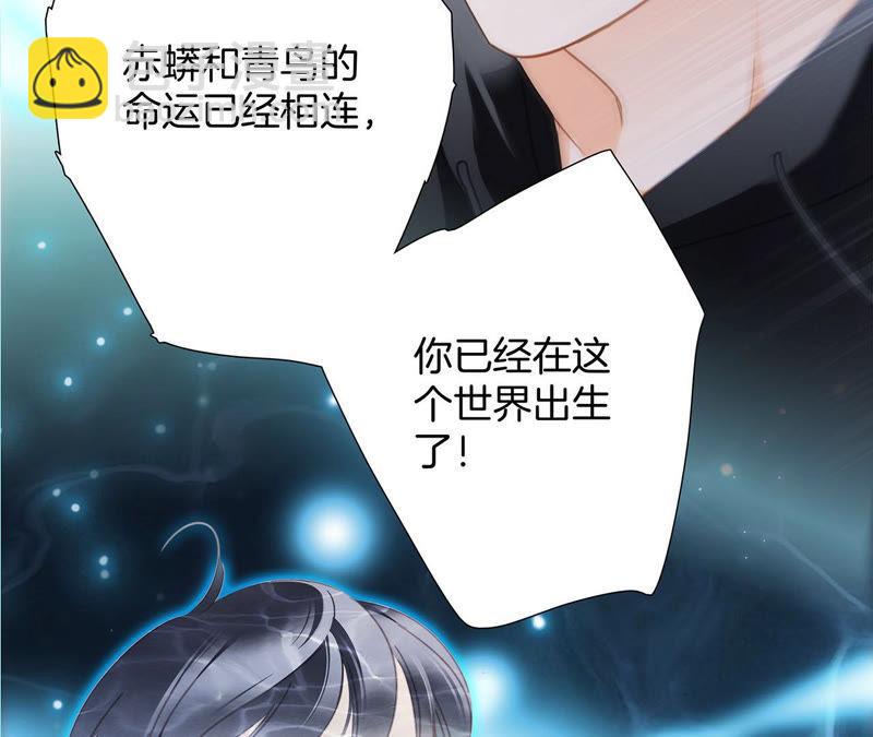 隱世華族 - 第66話 追蹤(1/2) - 8