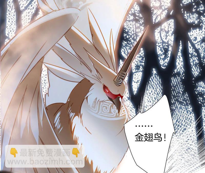 隱世華族 - 第83話 羣鳥(1/2) - 8