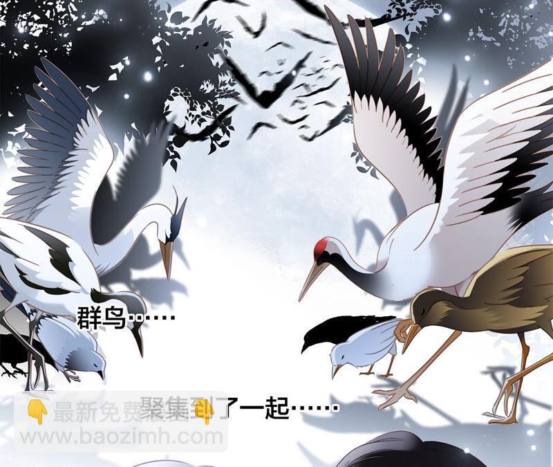 隱世華族 - 第83話 羣鳥(1/2) - 6