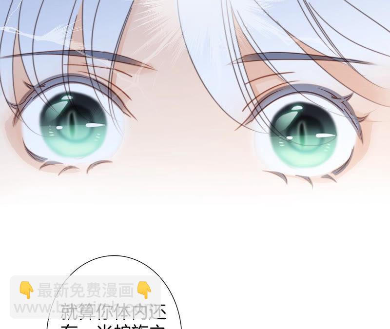 隱世華族 - 第83話 羣鳥(2/2) - 1