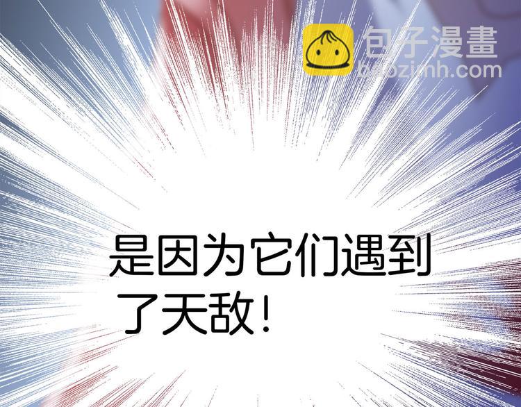 隱世華族 - 第9話 圖騰(3/3) - 4