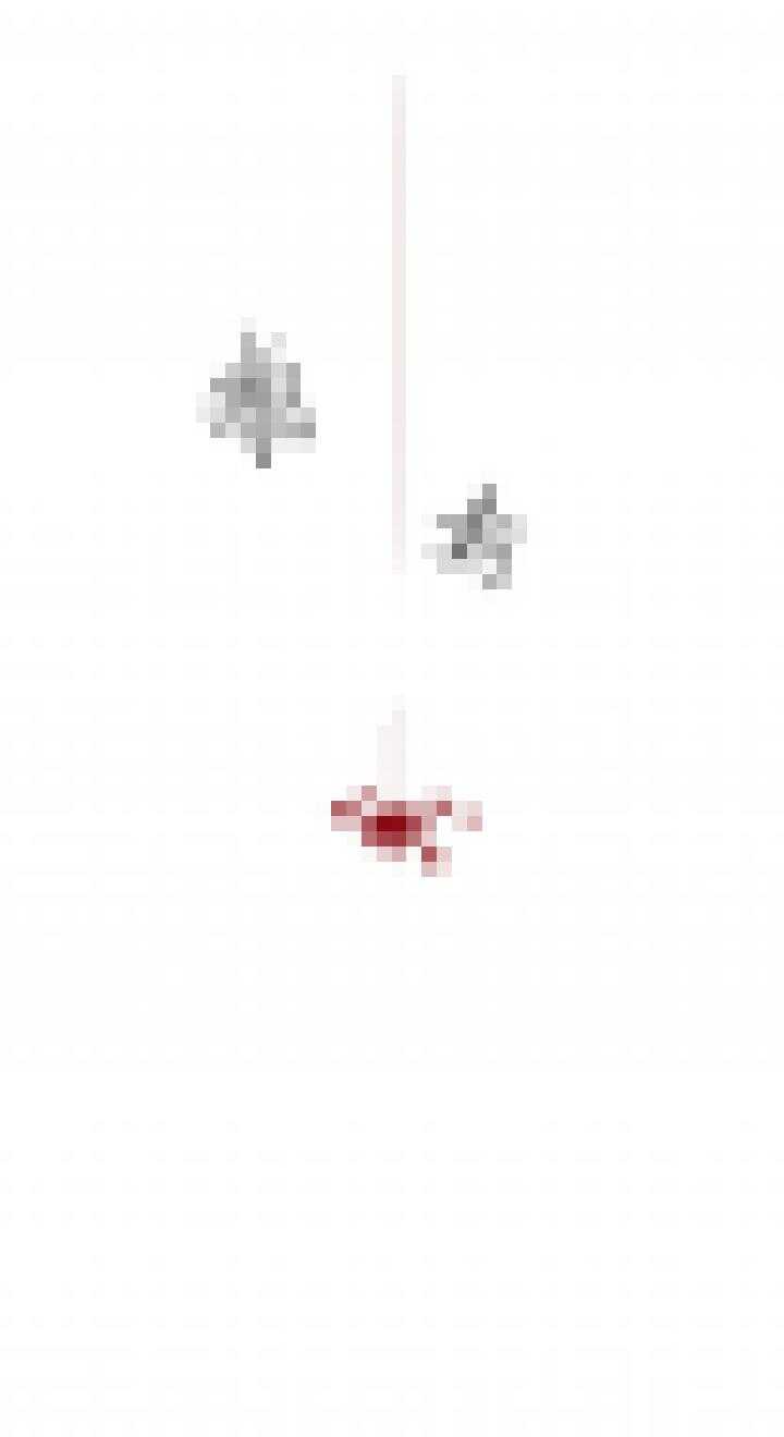 111 寻找真相-第122话