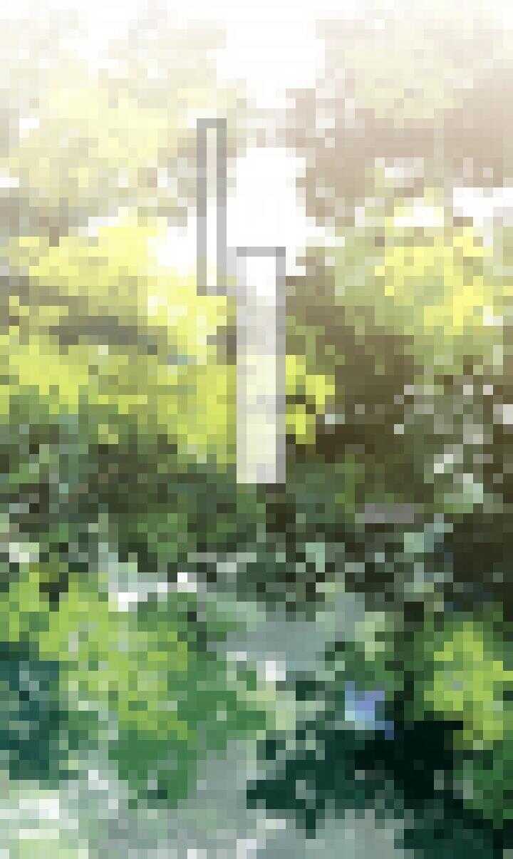 128 诱饵-第140话