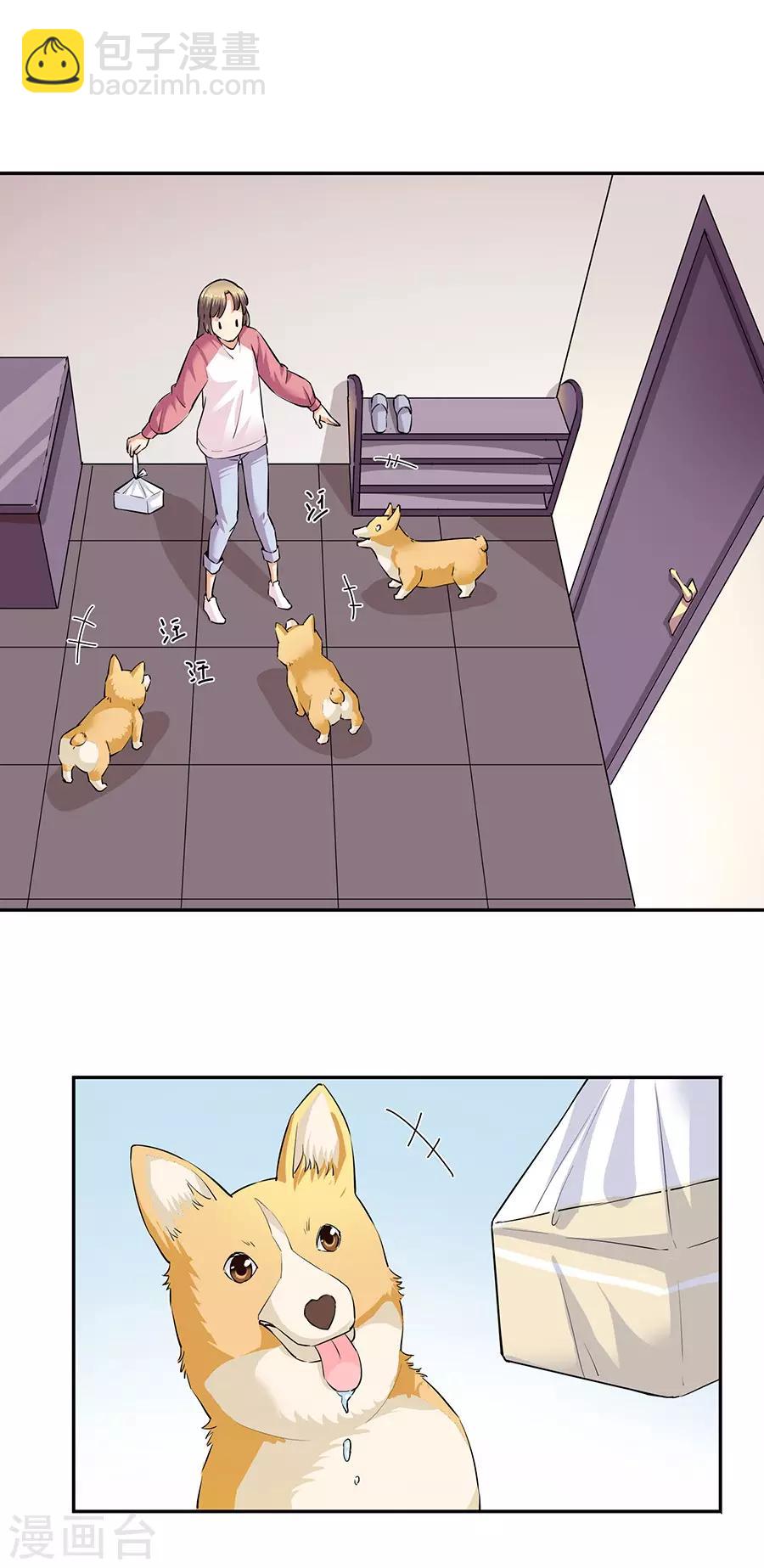 第33话1 捡到一只狗-第144话