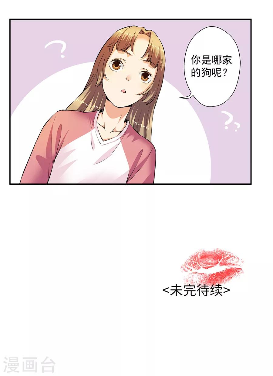 第33话1 捡到一只狗-第144话