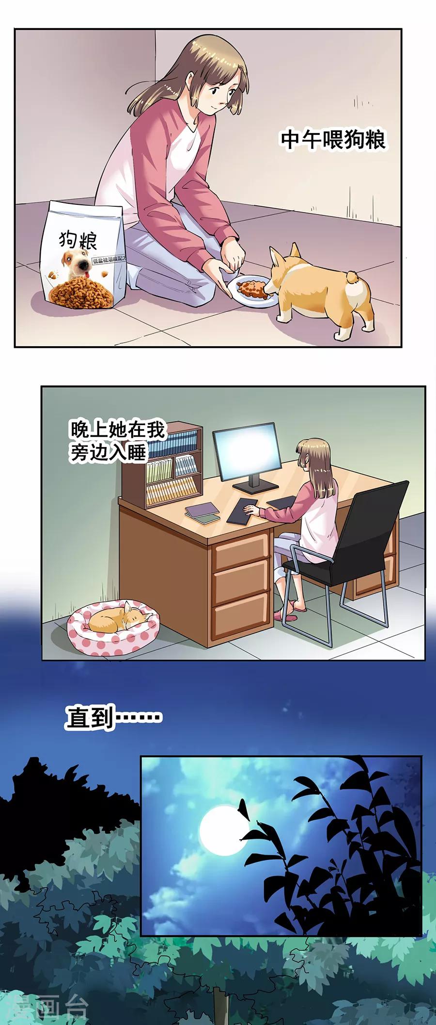 第33话3 捡到一只狗-第146话