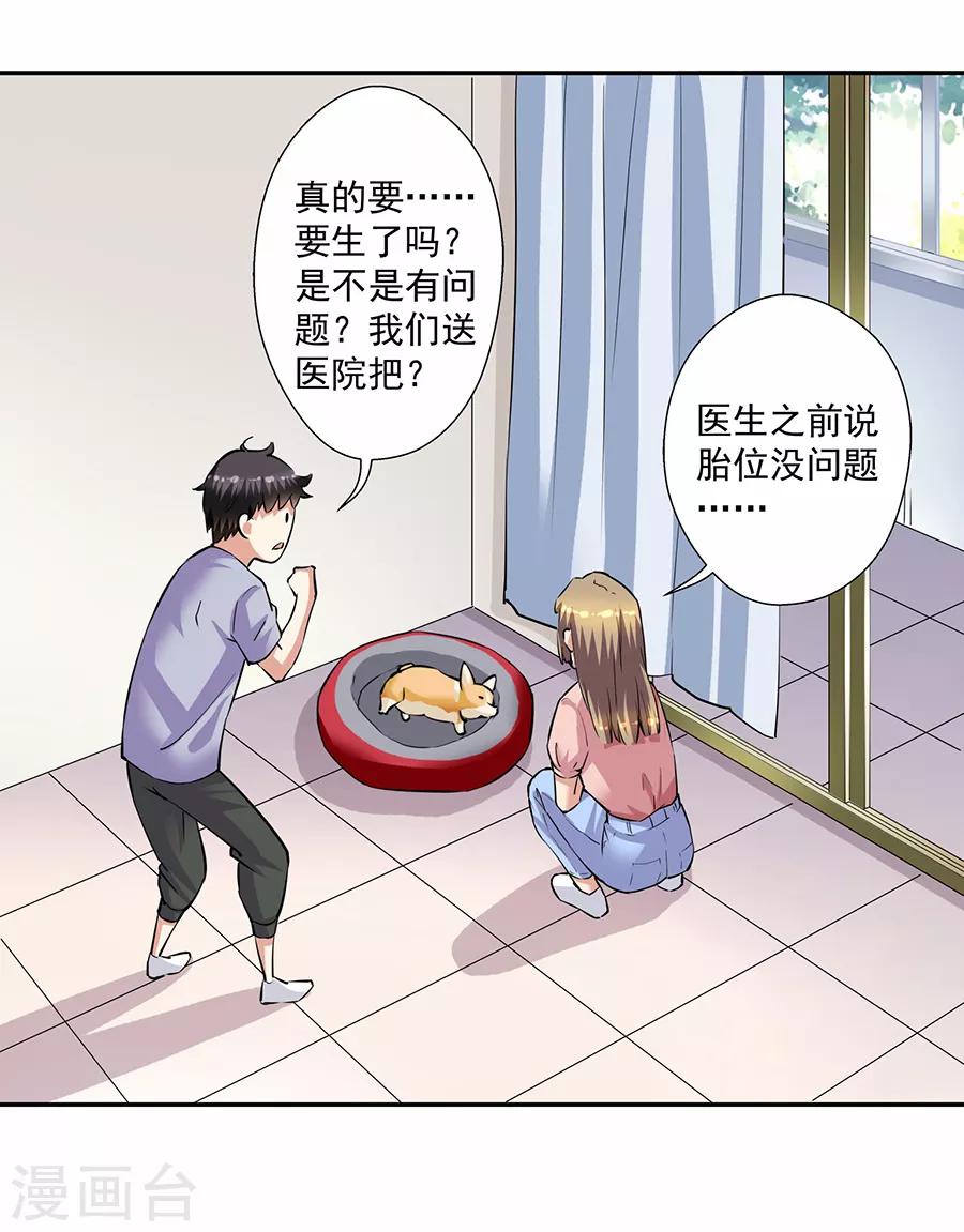 第33话7 捡到一只狗-第150话