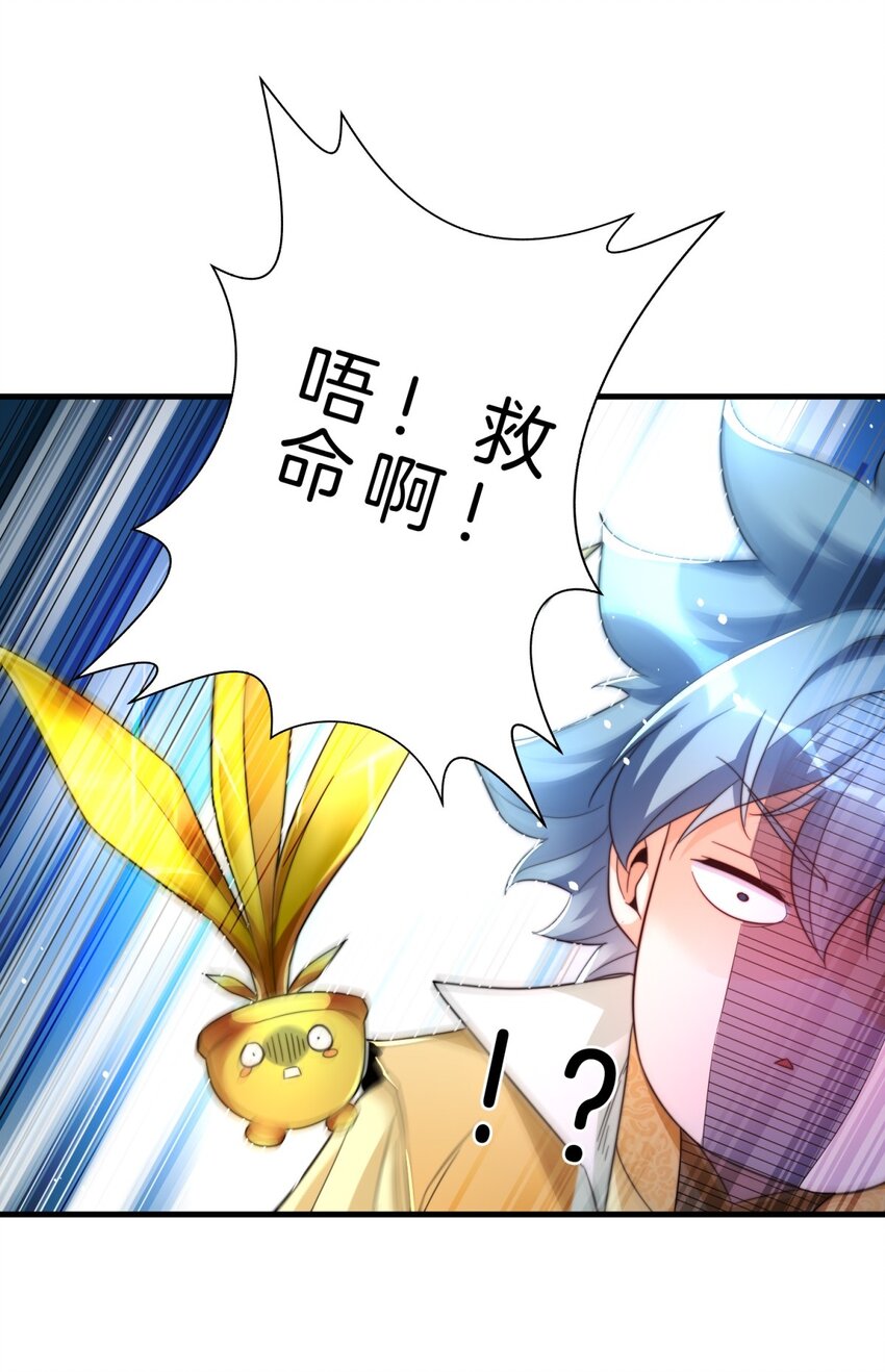 009 捕捉玲玲草-第10话