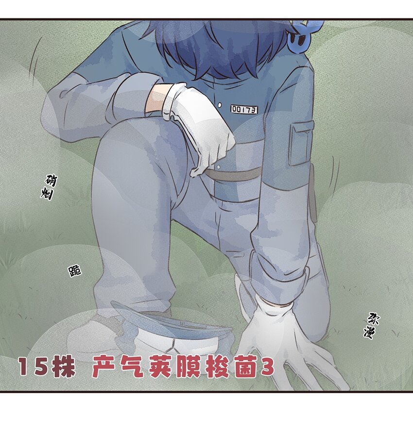 15株 产气荚膜梭菌3-第32话