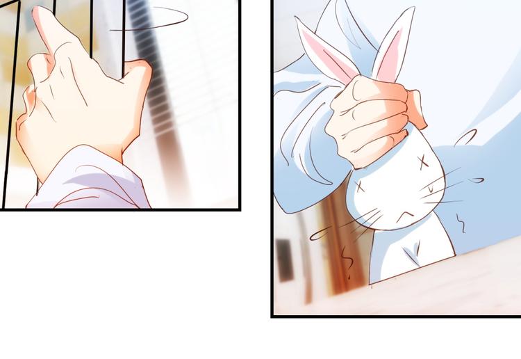 第8话 兔兔辣么可爱(1/2)-第8话