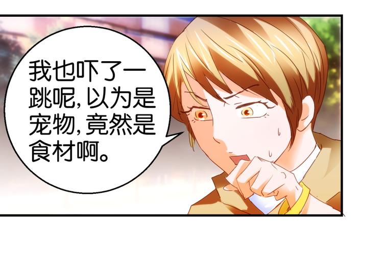 第8话 兔兔辣么可爱(1/2)-第8话