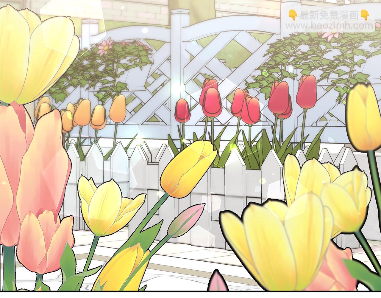 完结篇 我爱你们(1/5)-第50话