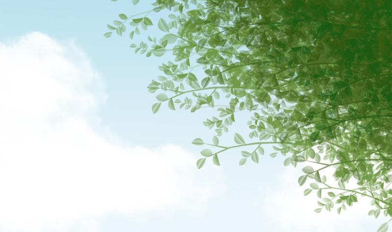 第84话 圣灵珠(1/2)-第84话