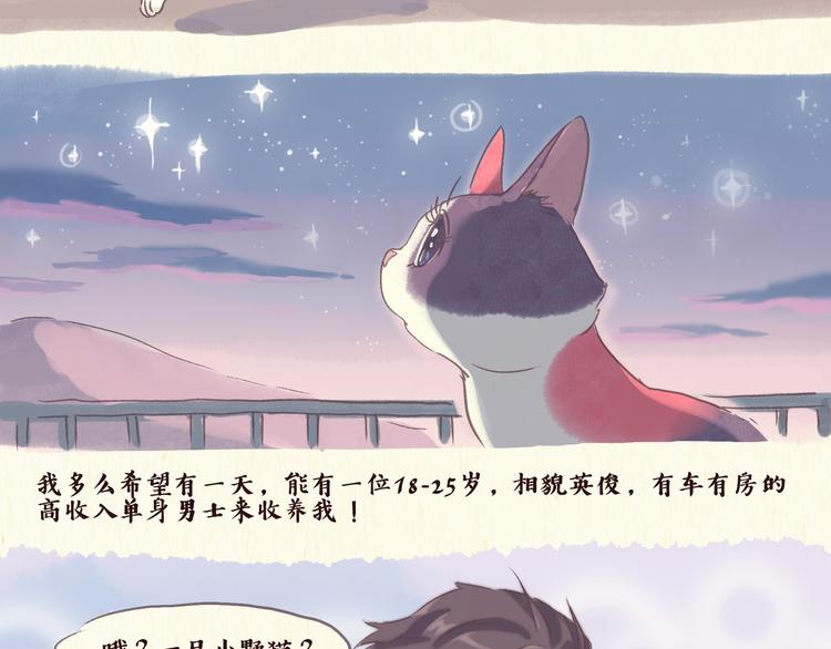 流浪猫（上）-第20话