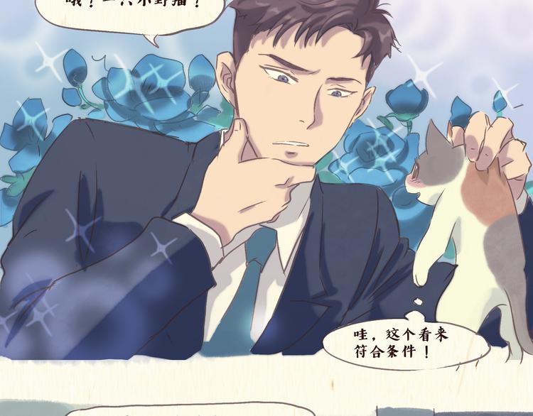 流浪猫（上）-第20话