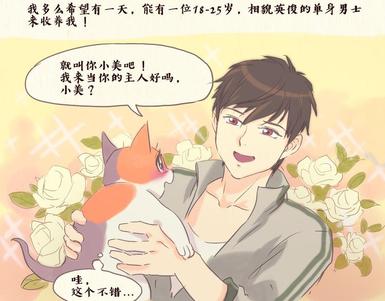 流浪猫（上）-第20话