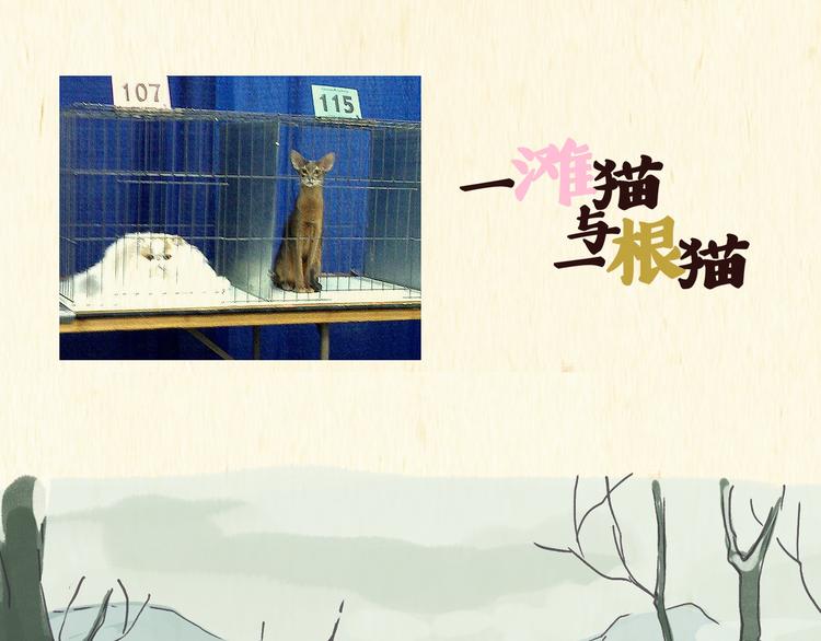 怪老头（上）-第28话