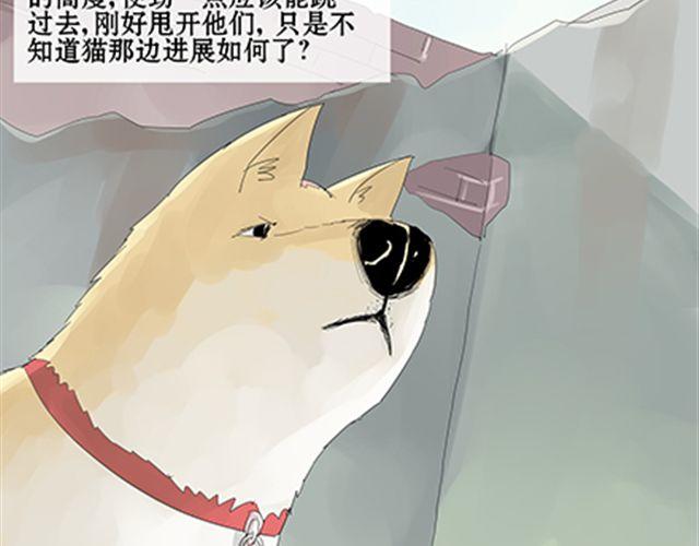 一条狗#16、17 另有所因-第14话