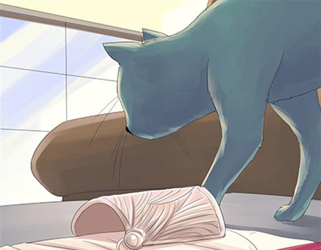 一条狗#21 猫的真面目-第18话