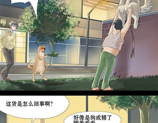 一条狗#27-第24话