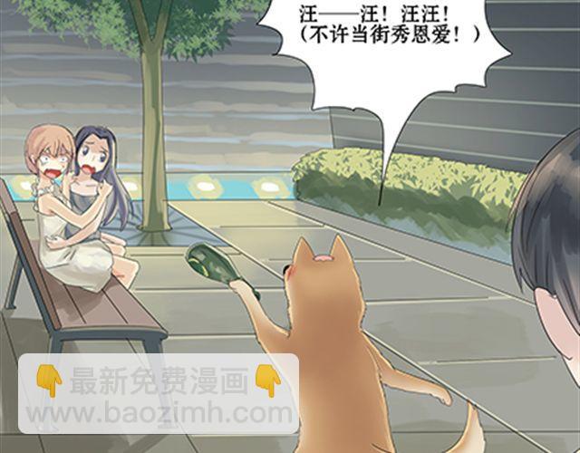 一条狗#27-第24话