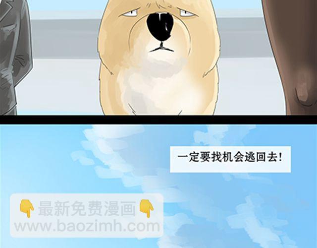 一条狗#31-第28话