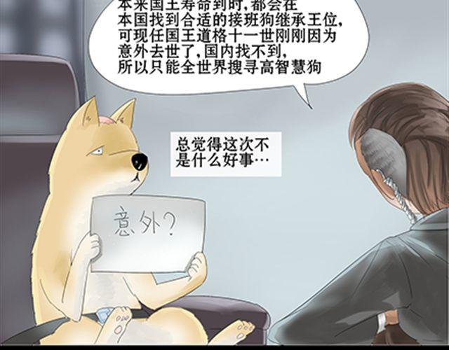 一条狗#31-第28话