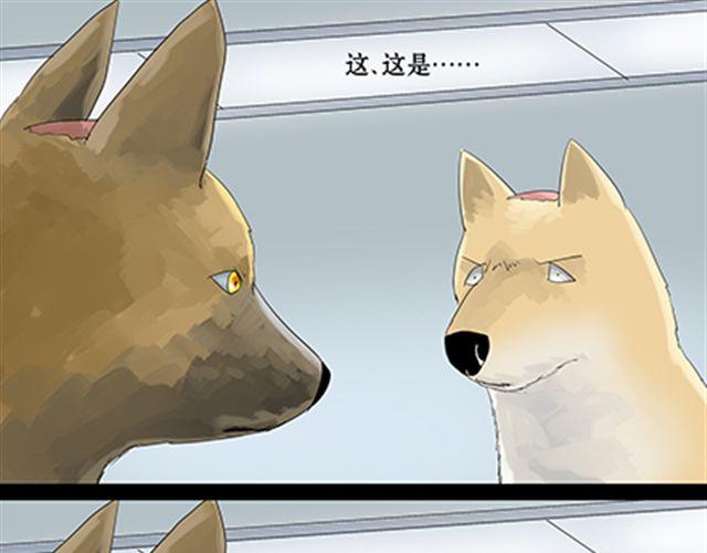 一条狗#33-第30话