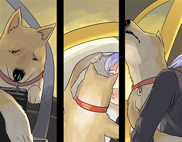 一条狗#4 太好了-第4话