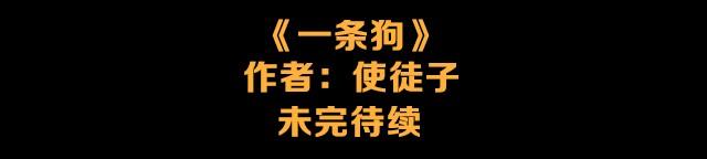 一条狗#4 太好了-第4话