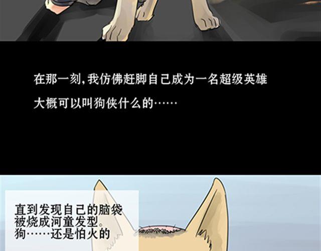 一条狗#4 太好了-第4话