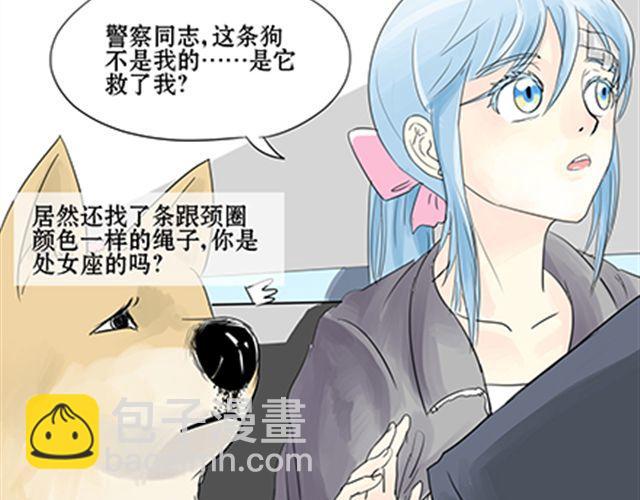 一条狗#4 太好了-第4话