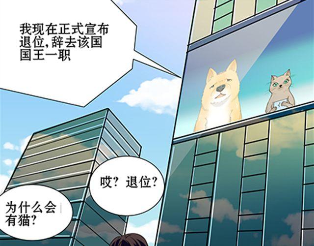 一条狗#41、42-第38话