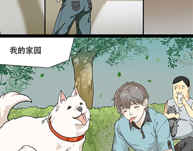 一条狗#41、42-第38话