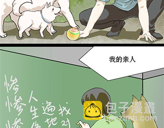 一条狗#41、42-第38话