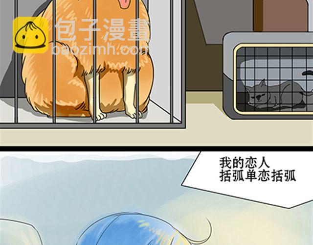 一条狗#41、42-第38话